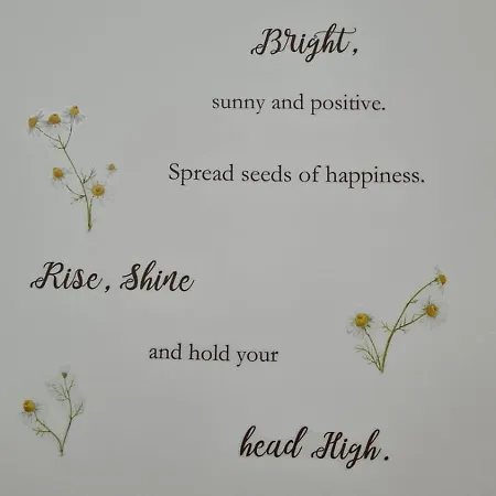 Dock Bay Lodge Hostello Vandrerhjem