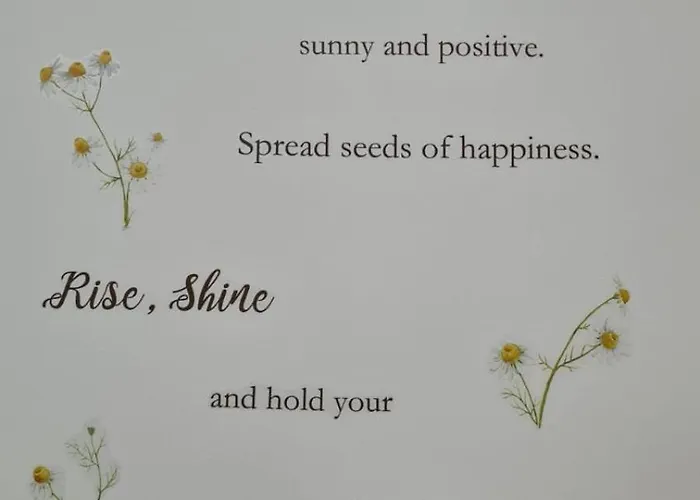 Dock Bay Hostello Hostel